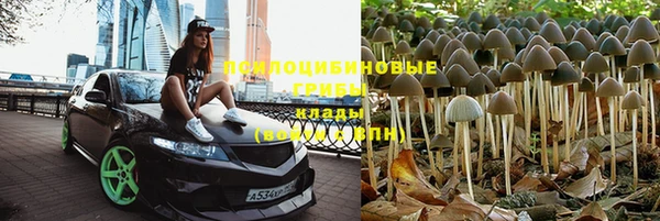 ешки Арсеньев